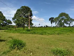 Imagem 4 - Fazenda em Setor Central, Jussara - BA