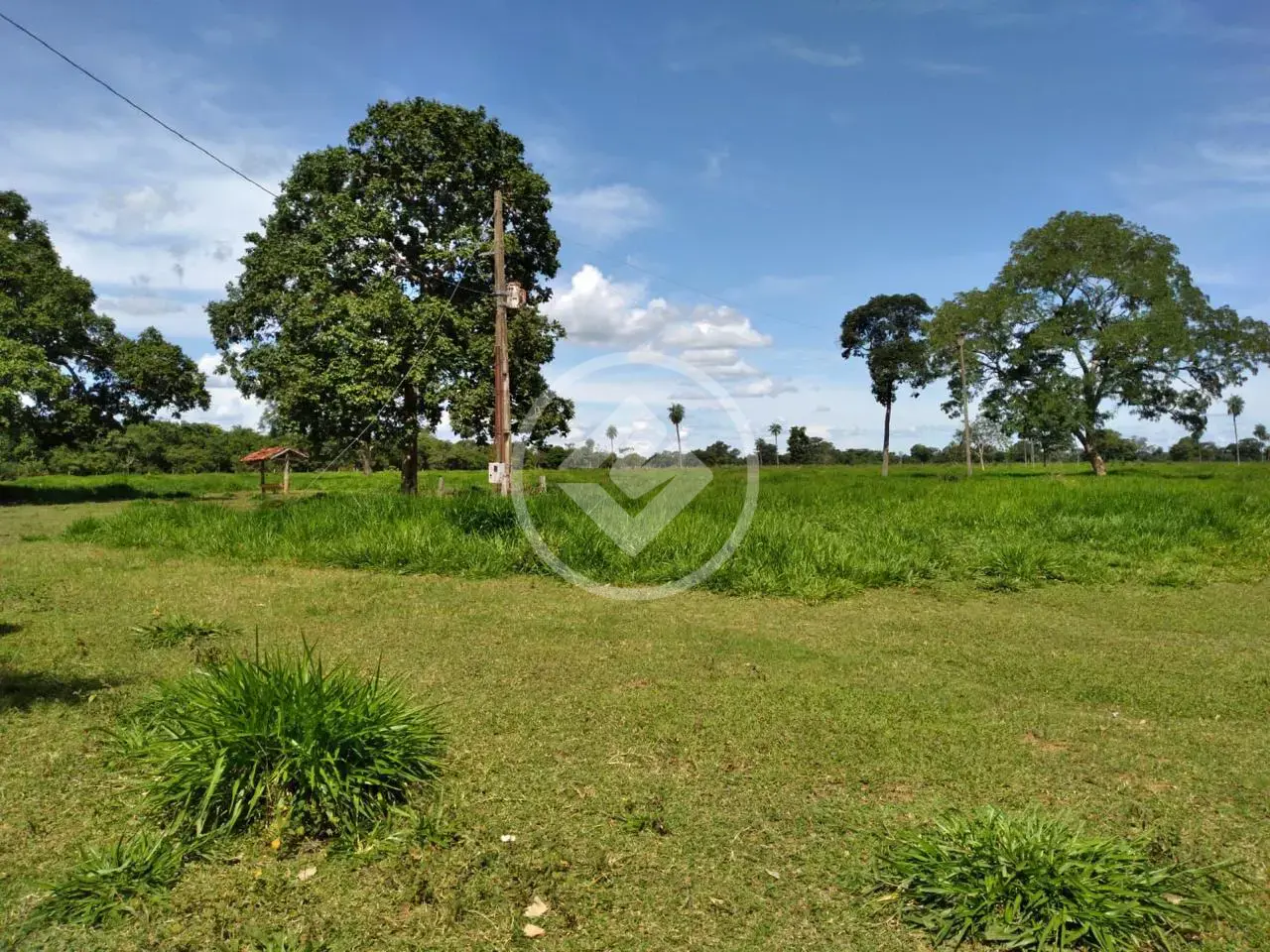 Imagem 4 - Fazenda em Setor Central, Jussara - BA