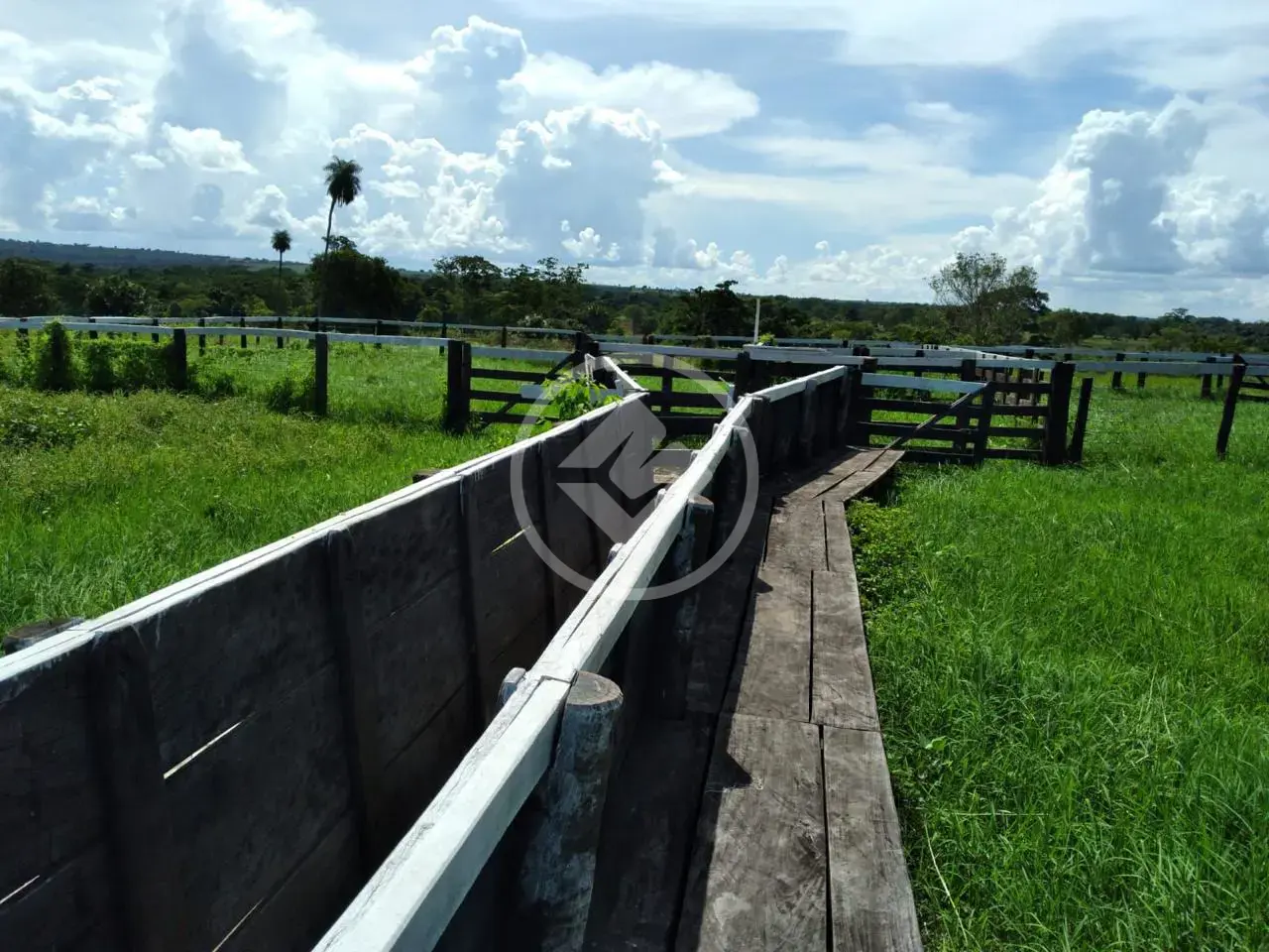 Image 19 - Fazenda em Setor Central, Jussara - BA