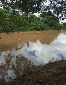 Imagem 2 - Chácara em Zona Rural, Cezarina - GO