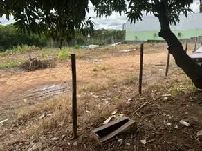 Imagem 4 - Terreno em Parque Oeste Industrial, Goiânia - GO
