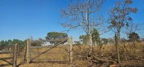 Chácara GO-020, Bela Vista de Goiás - GO — foto 1