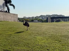 Terreno Condomínio Condomínio do Lago, Goiânia - GO — foto 2