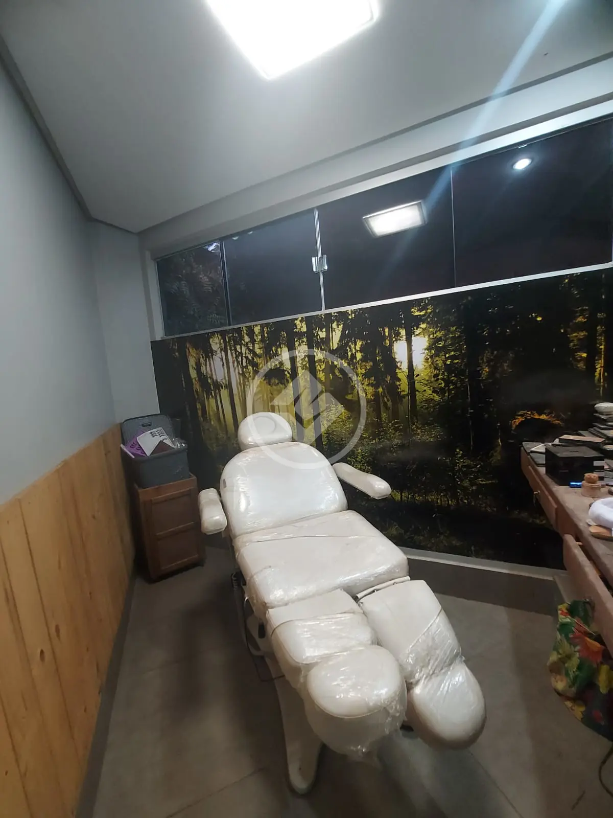 Imagem 3 - Casa Comercial em Setor Sul, Goiânia - GO