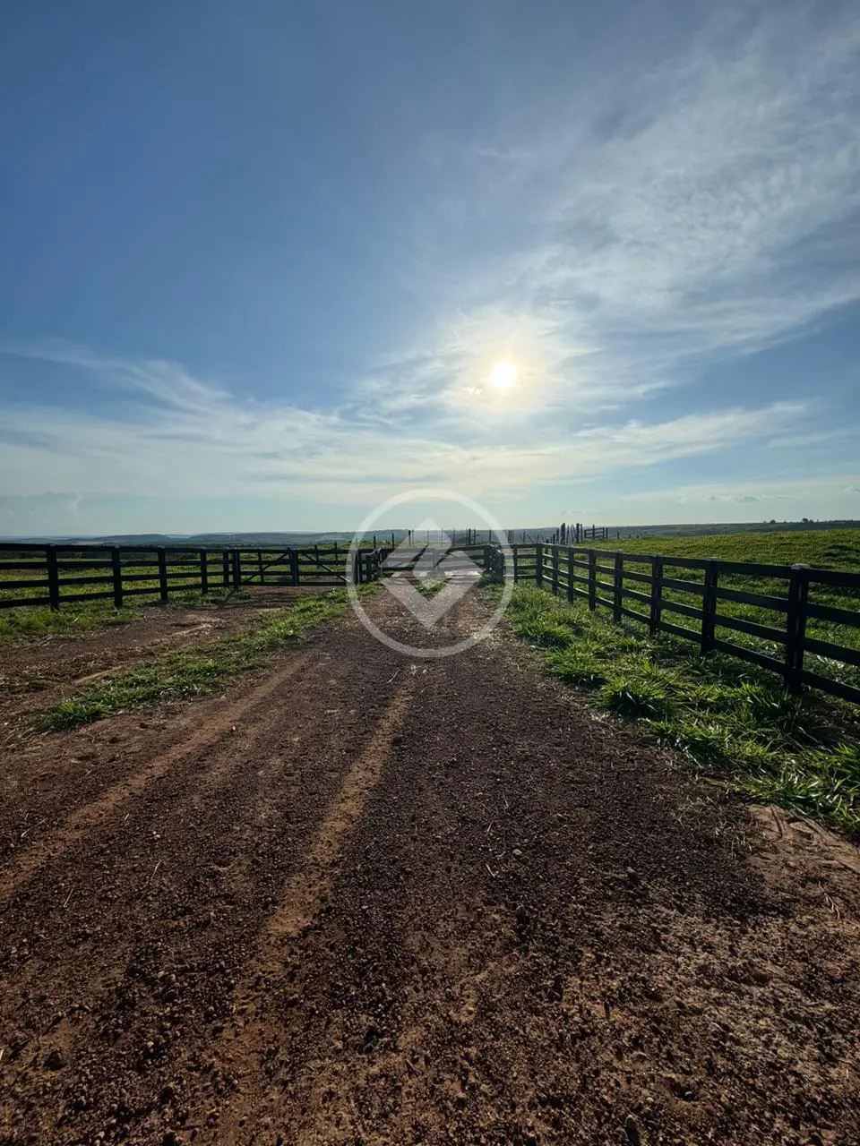 Imagem 1 - Fazenda em ZONA RURAL, Campo Alegre de Goiás - GO