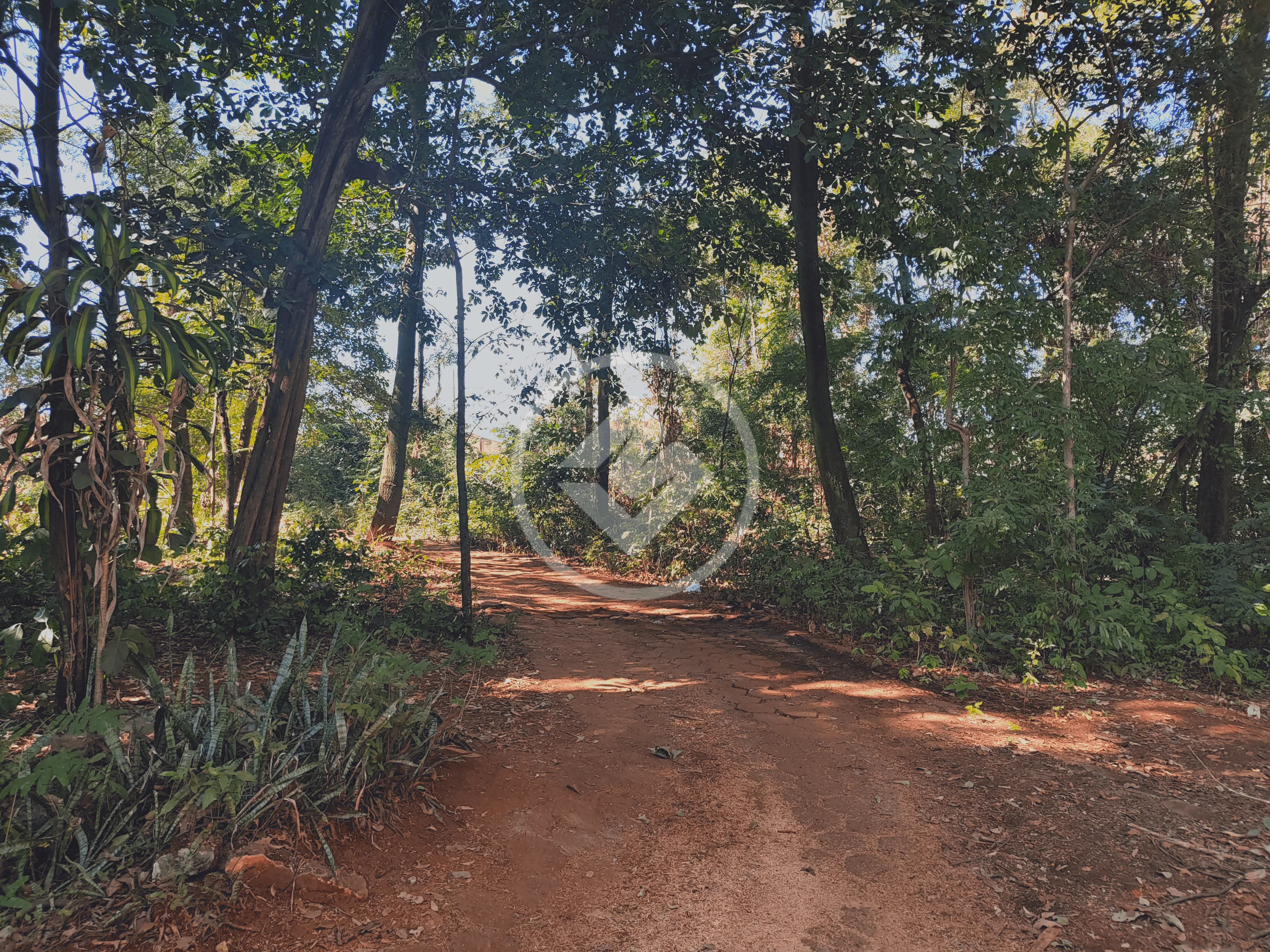 Terreno Parque Tremendao, Goiânia - GO — foto 1