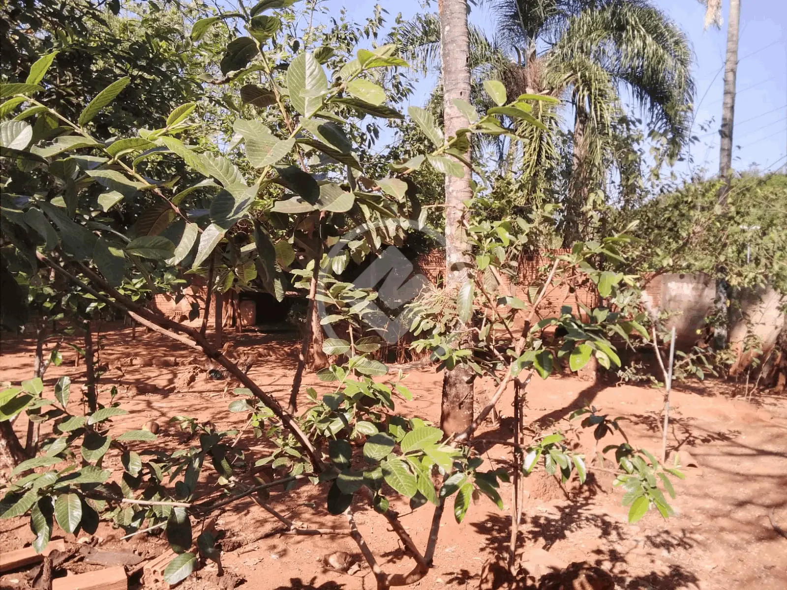 Imagem 2 - Terreno em Setor Faiçalville, Goiânia - GO