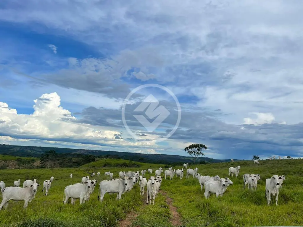 Imagem 1 - Fazenda em ZONA RURAL, Campo Alegre de Goiás - GO