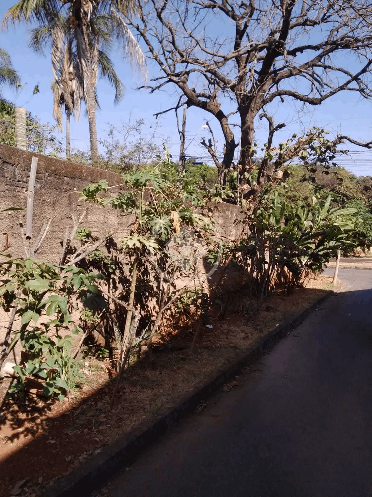 Imagem 3 - Terreno em Setor Faiçalville, Goiânia - GO