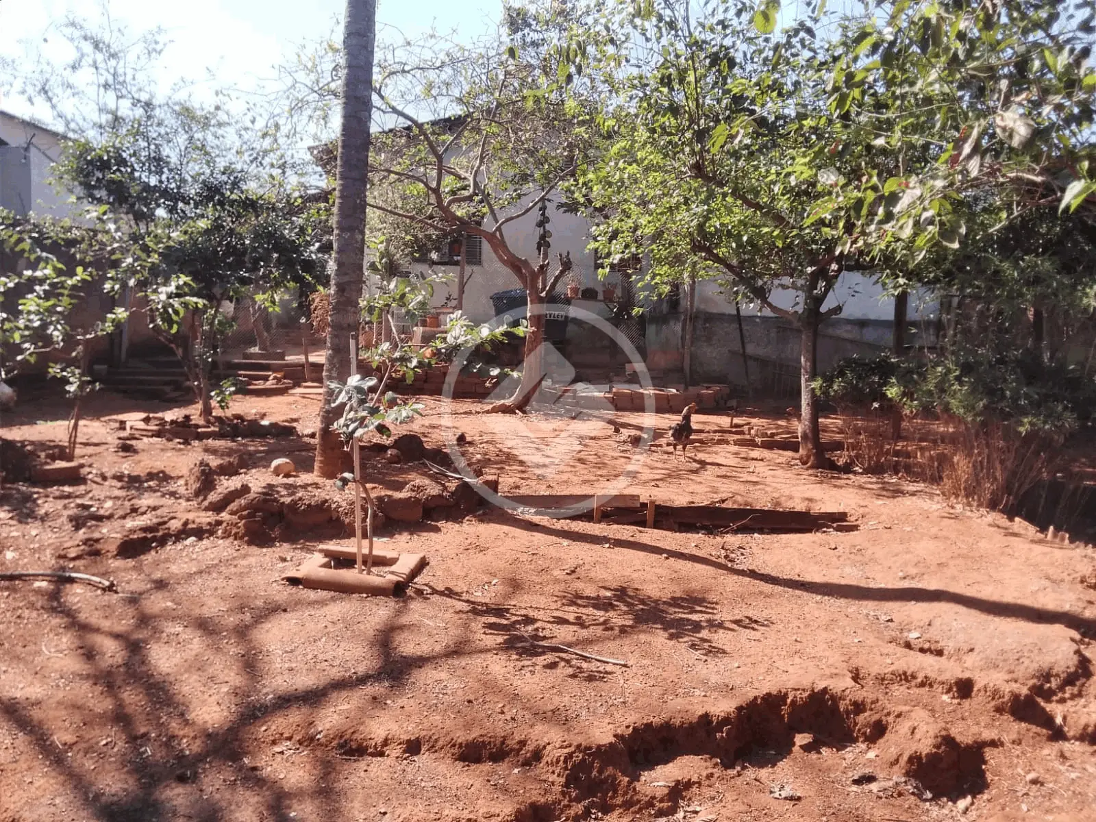 Imagem 6 - Terreno em Setor Faiçalville, Goiânia - GO
