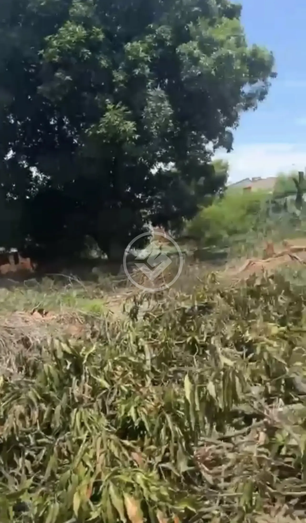 Image 2 - Terreno Comercial em Jardim Novo Mundo, Goiânia - GO
