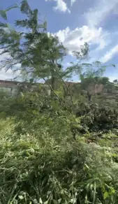 Imagem 3 - Terreno Comercial em Jardim Novo Mundo, Goiânia - GO