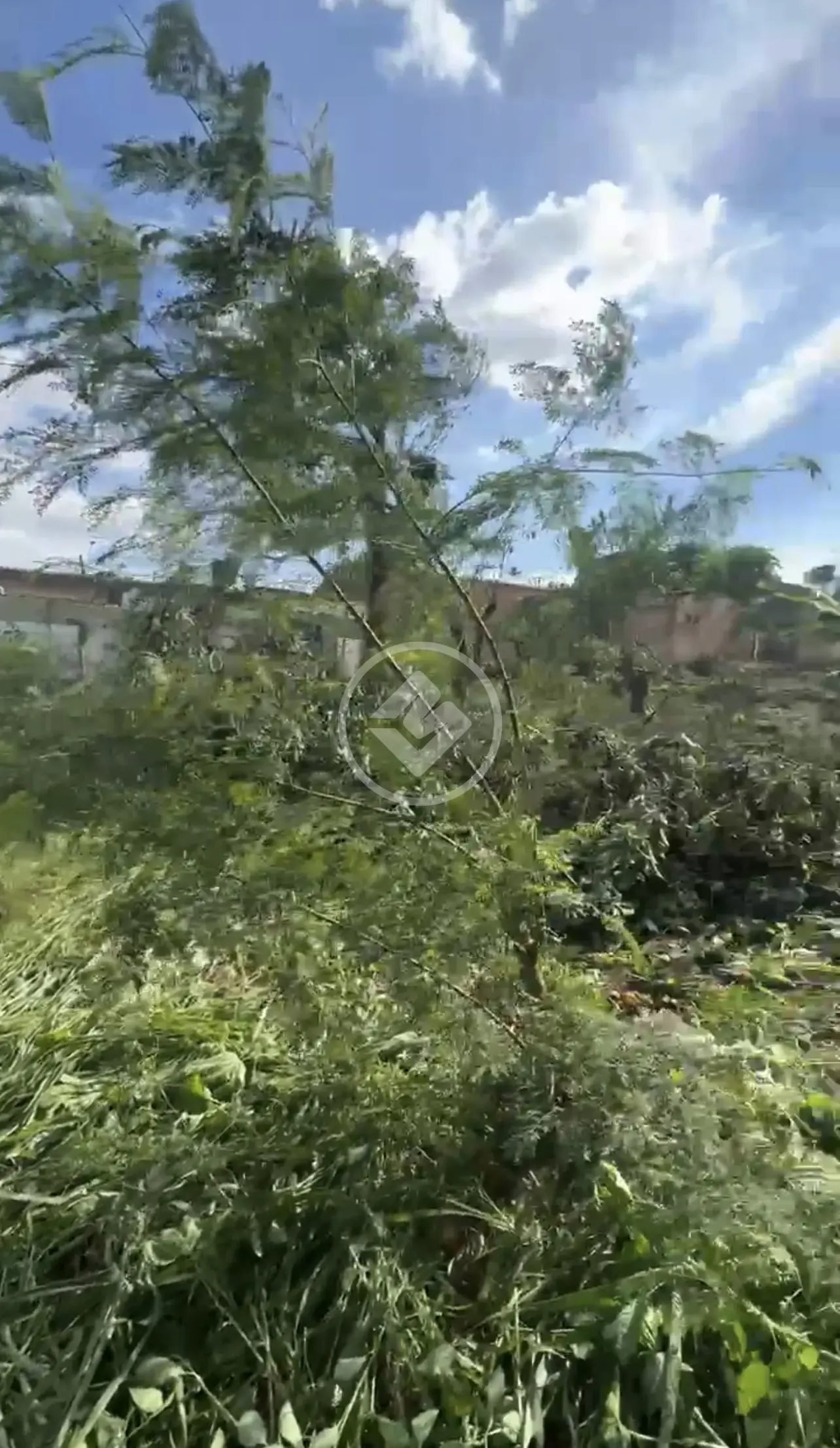 Image 4 - Terreno Comercial em Jardim Novo Mundo, Goiânia - GO