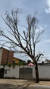 Terreno Jardim Europa, Goiânia - GO — foto 2