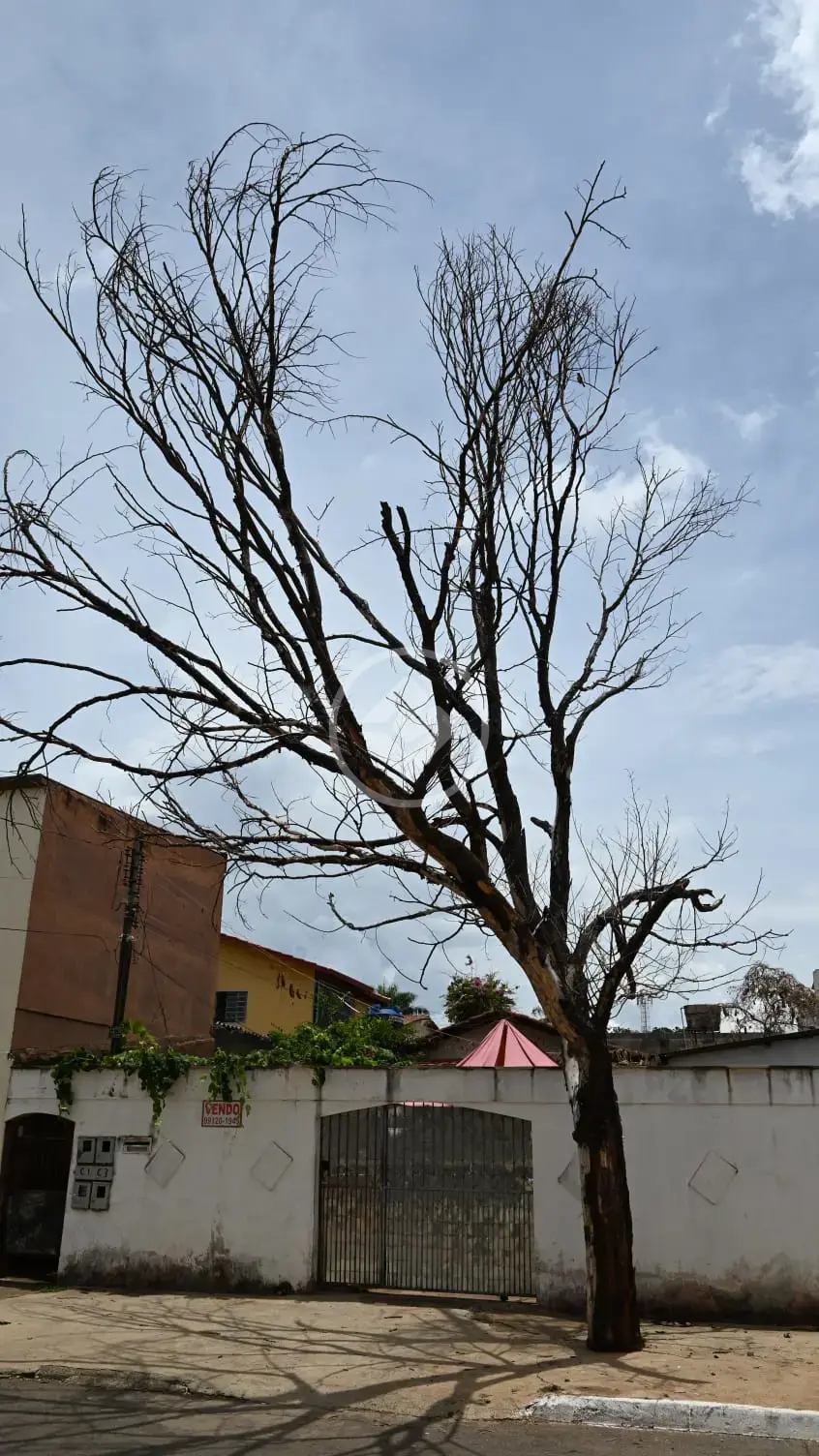 Imagem 1 - Terreno em Jardim Europa, Goiânia - GO