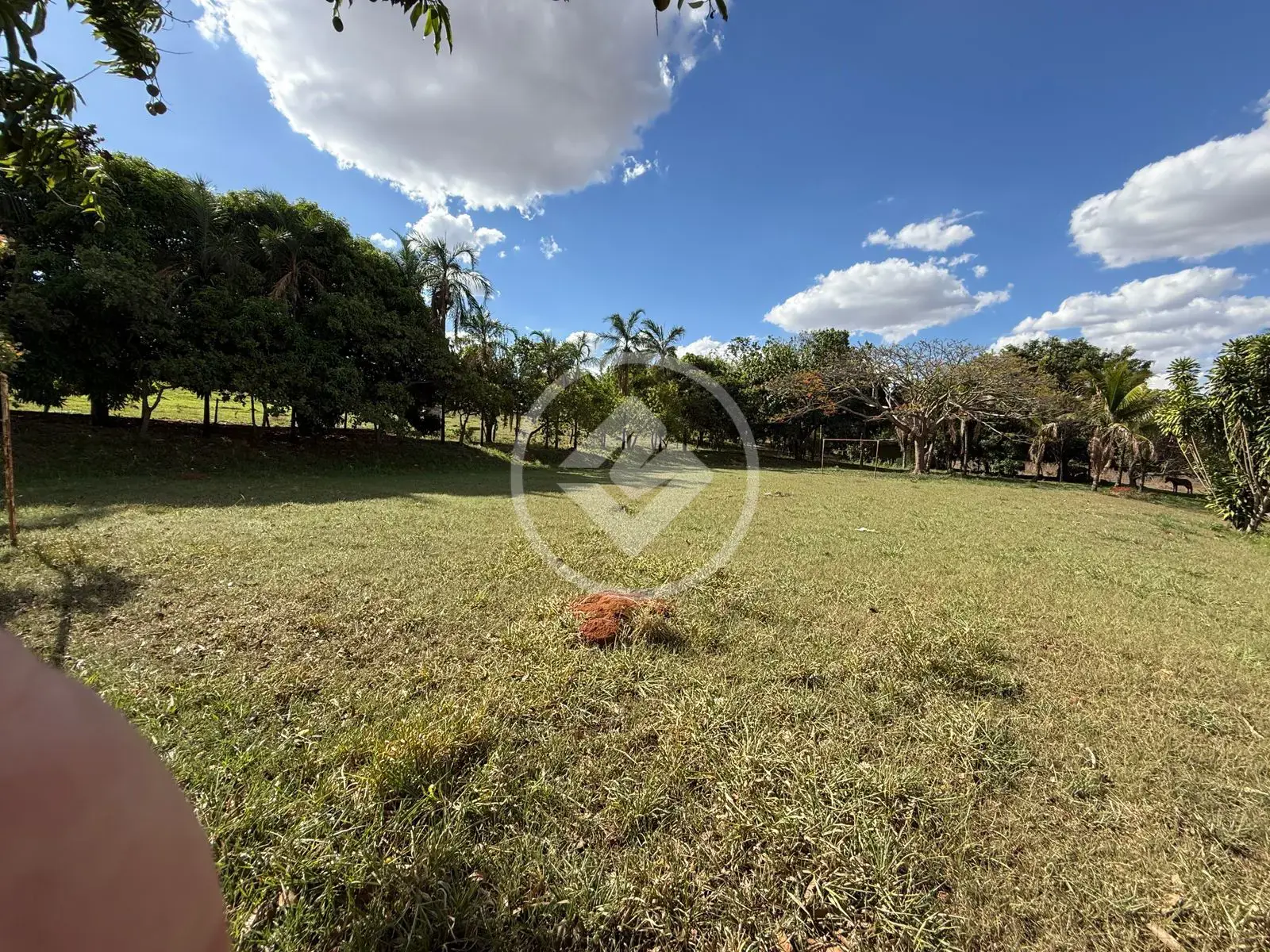 Imagem 6 - Chácara em Zona Rural, Bela Vista de Goiás - GO
