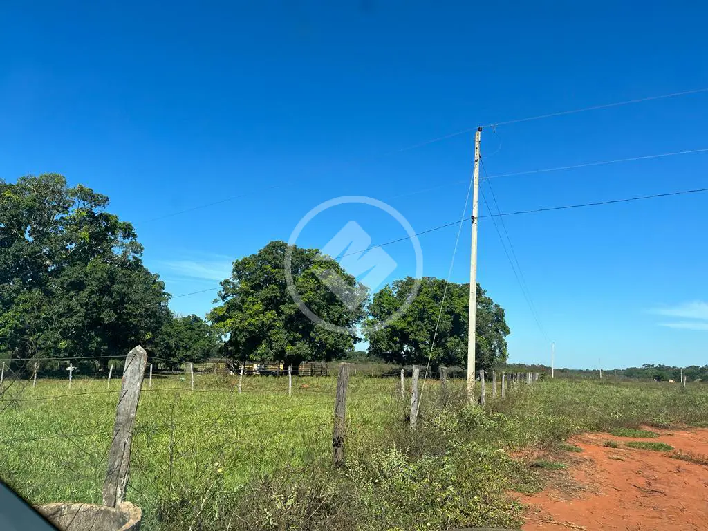 Imagem 5 - Chácara em Fazenda Santo Antônio, Aparecida de Goiânia - GO