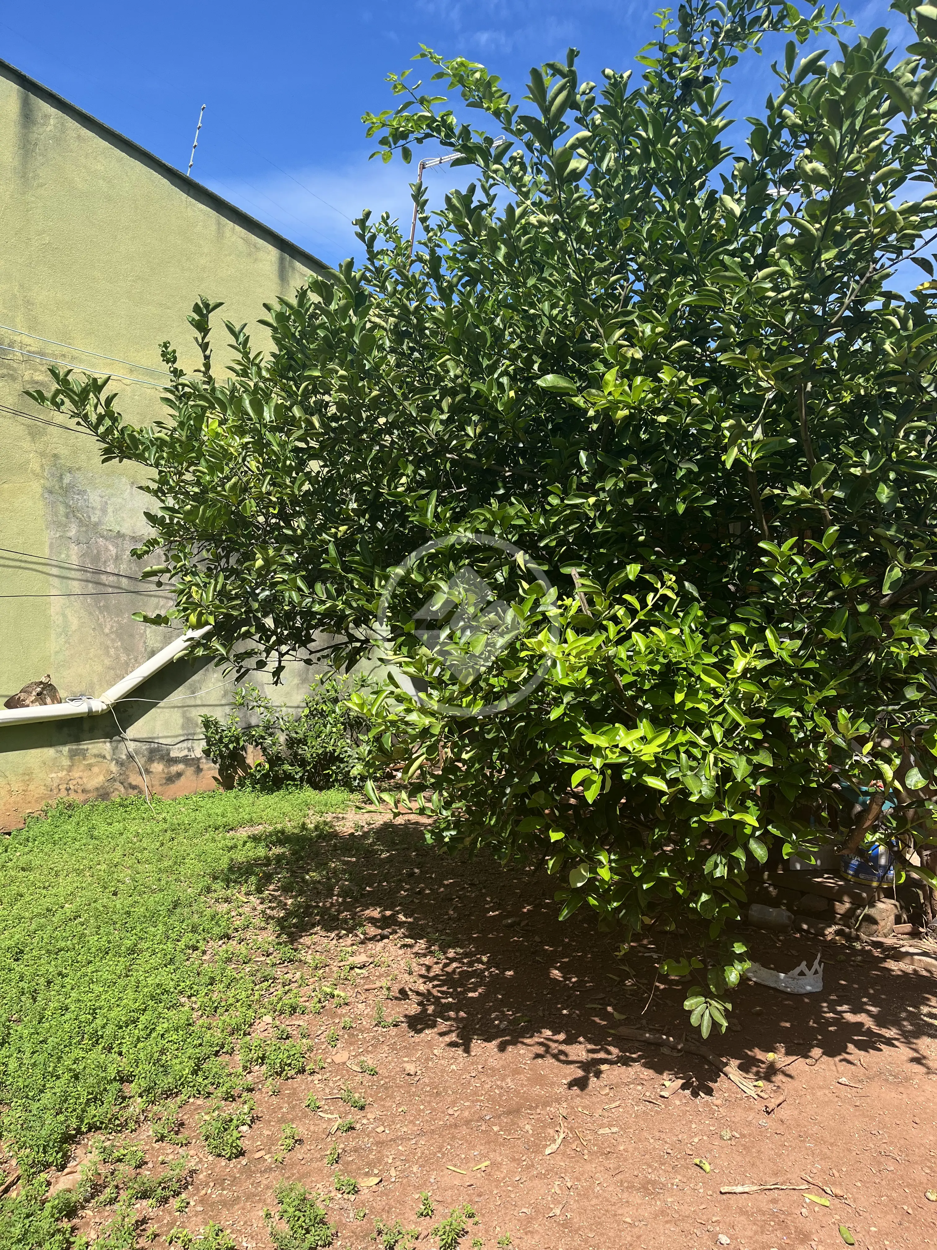 Imagem 5 - Terreno em Parque Real de Goiânia, Aparecida de Goiânia - GO