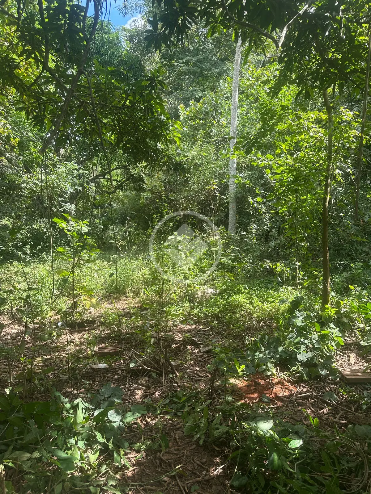 Imagem 2 - Terreno em Jardim Miramar, Aparecida de Goiânia - GO
