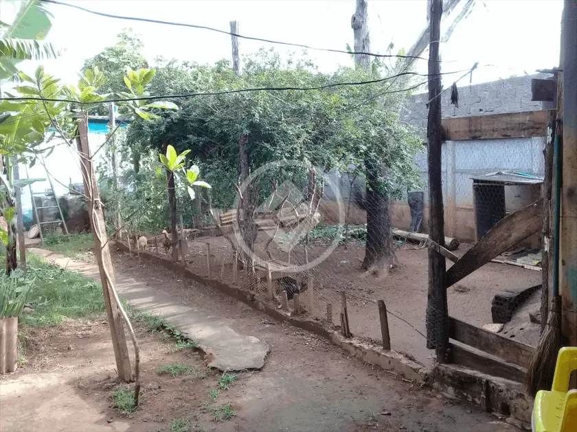 Imagem 6 - Terreno em Independência - 3º Complemento, Aparecida de Goiânia - GO