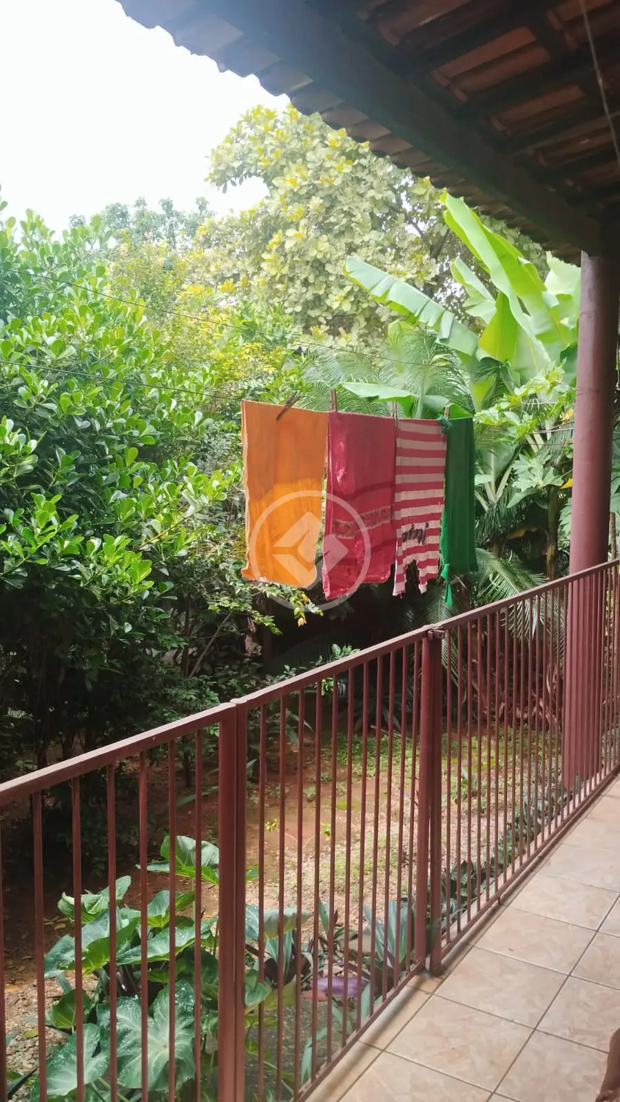 Imagem 4 - Casa em Cidade Livre, Aparecida de Goiânia - GO