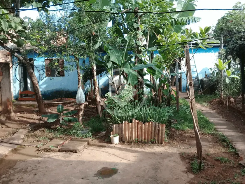 Imagem 5 - Terreno em Independência - 3º Complemento, Aparecida de Goiânia - GO