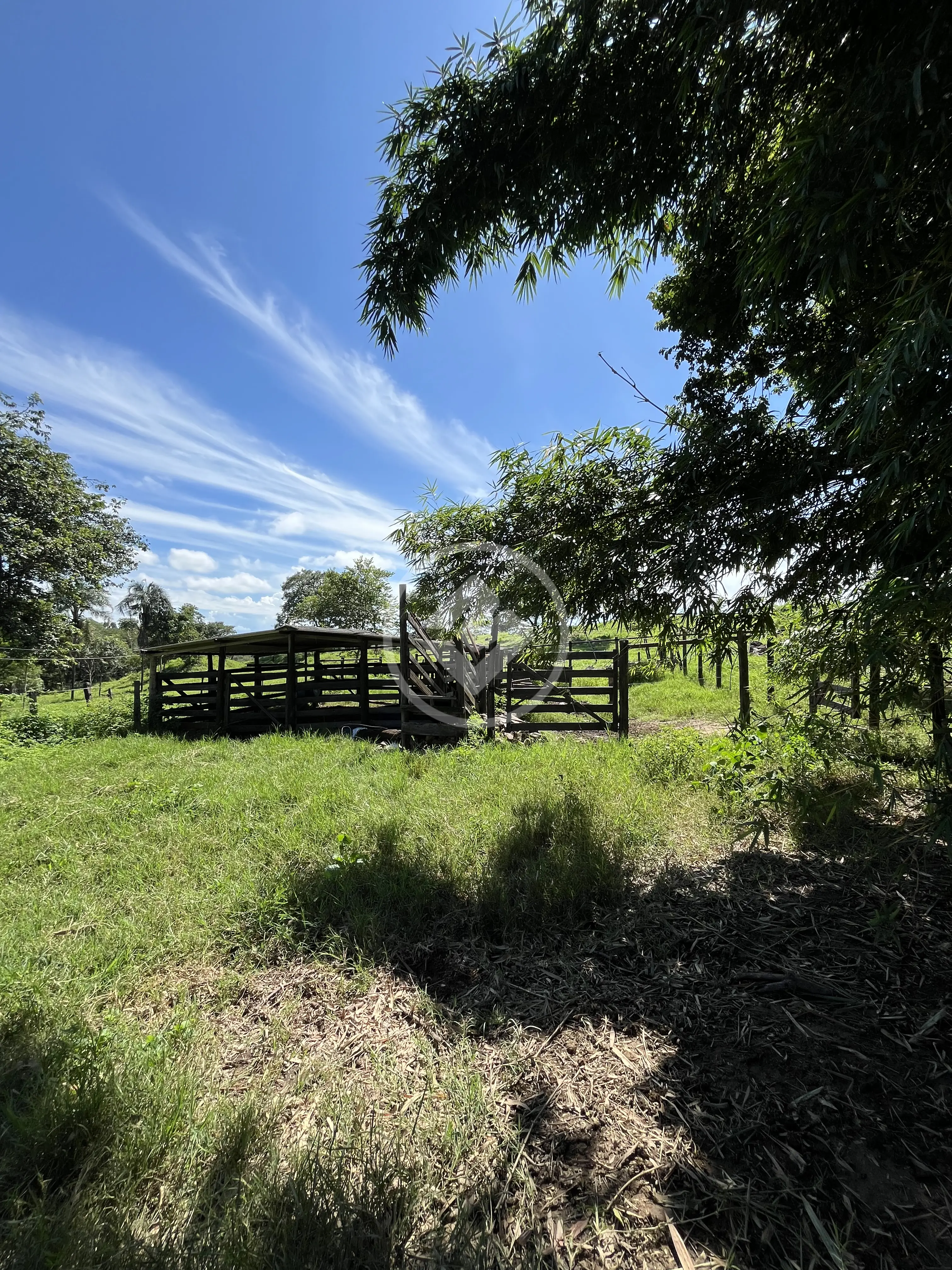 Chácara rural zona rural, Petrolina de Goiás - GO — foto 2