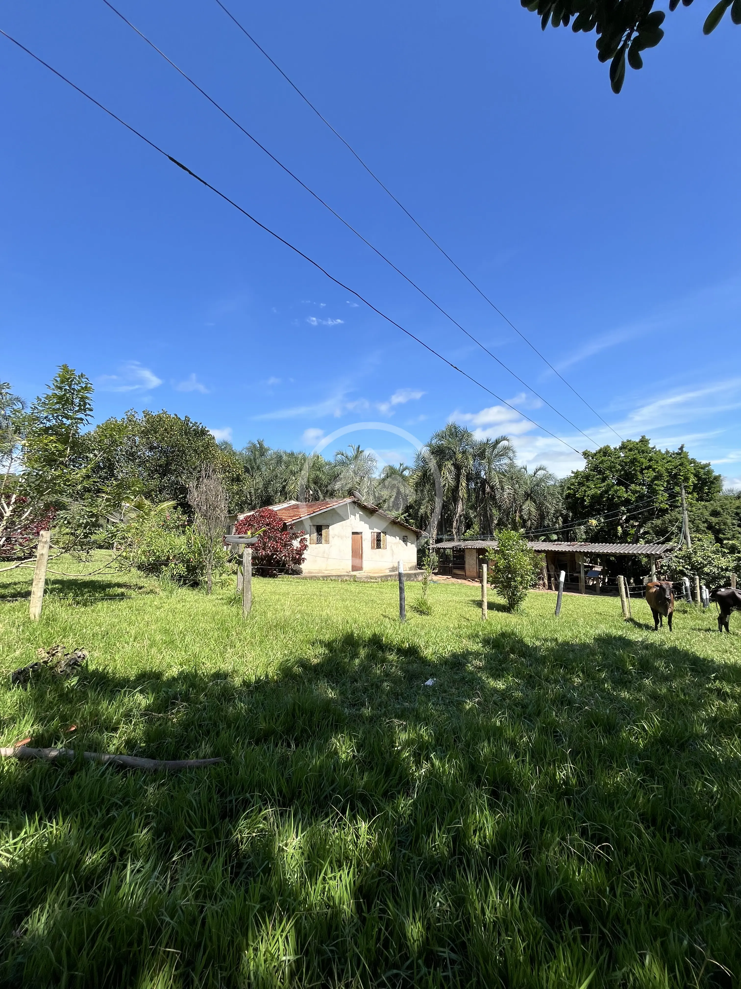 Chácara rural zona rural, Petrolina de Goiás - GO — foto 1