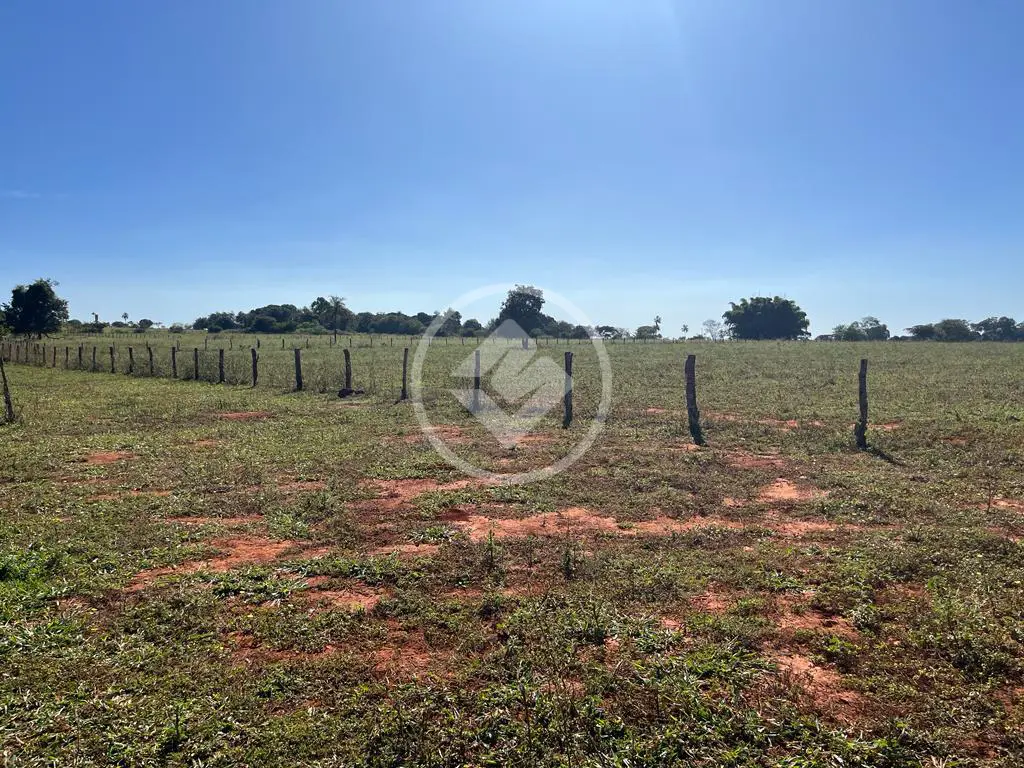 Image 10 - Chácara em Fazenda Santo Antônio, Aparecida de Goiânia - GO
