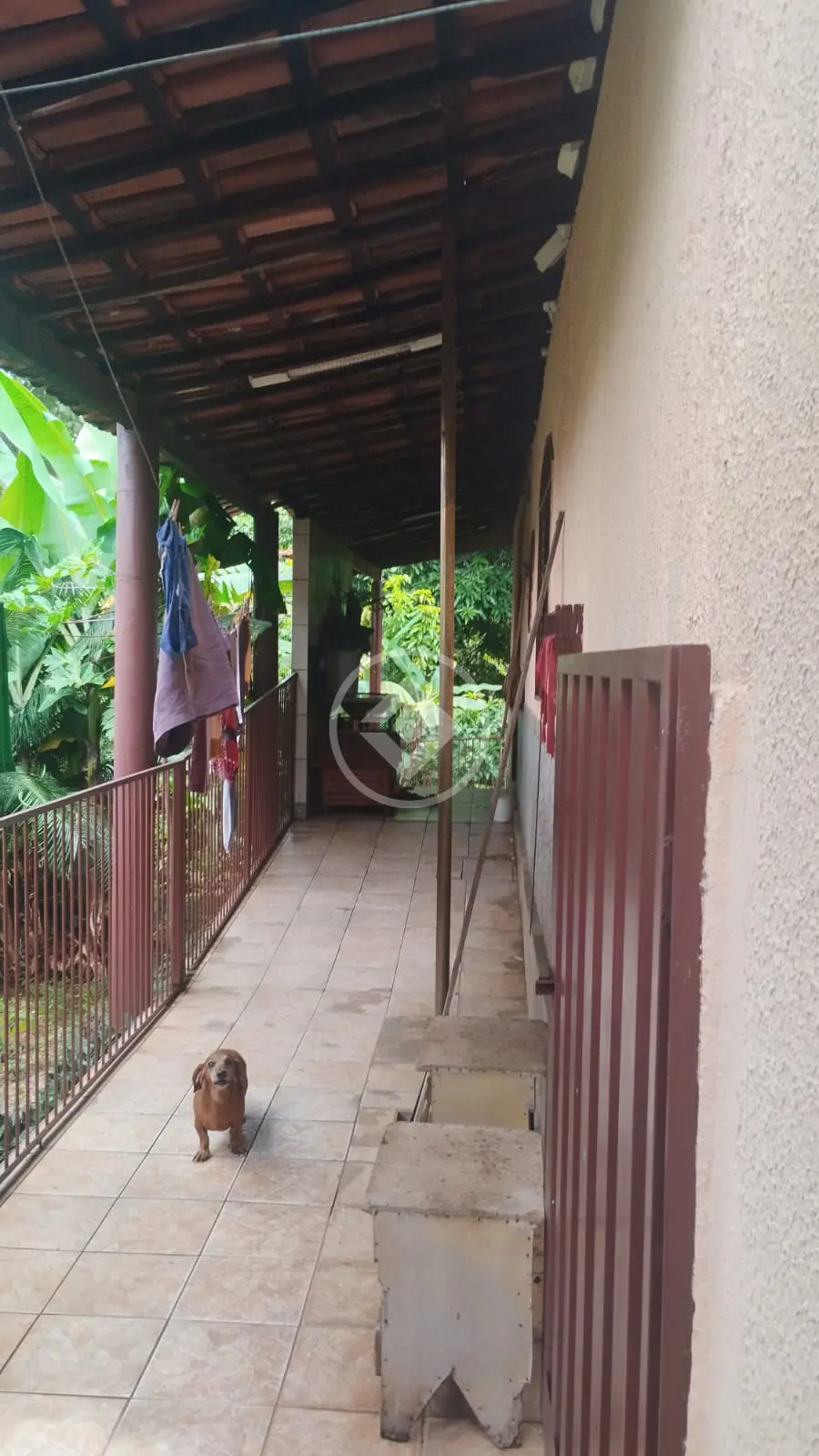 Imagem 3 - Casa em Cidade Livre, Aparecida de Goiânia - GO