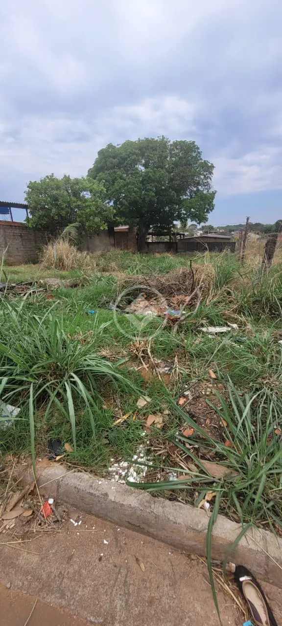 Terreno Goiânia Park Sul, Aparecida de Goiânia - GO — foto 2