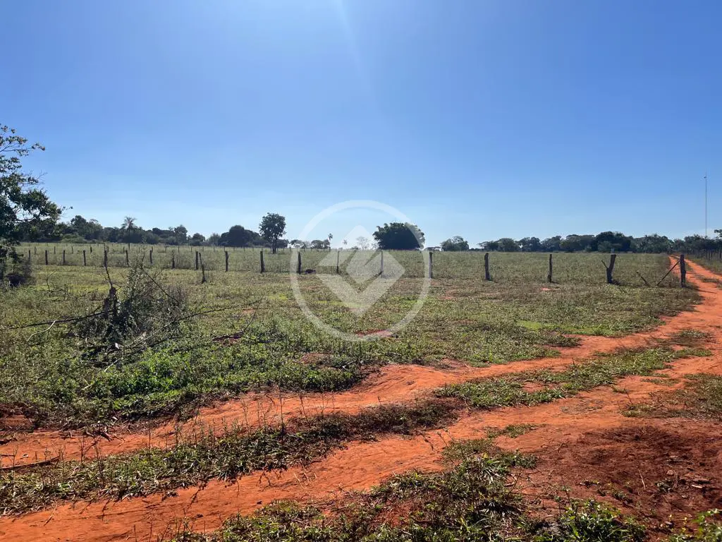 Imagem 3 - Chácara em Fazenda Santo Antônio, Aparecida de Goiânia - GO