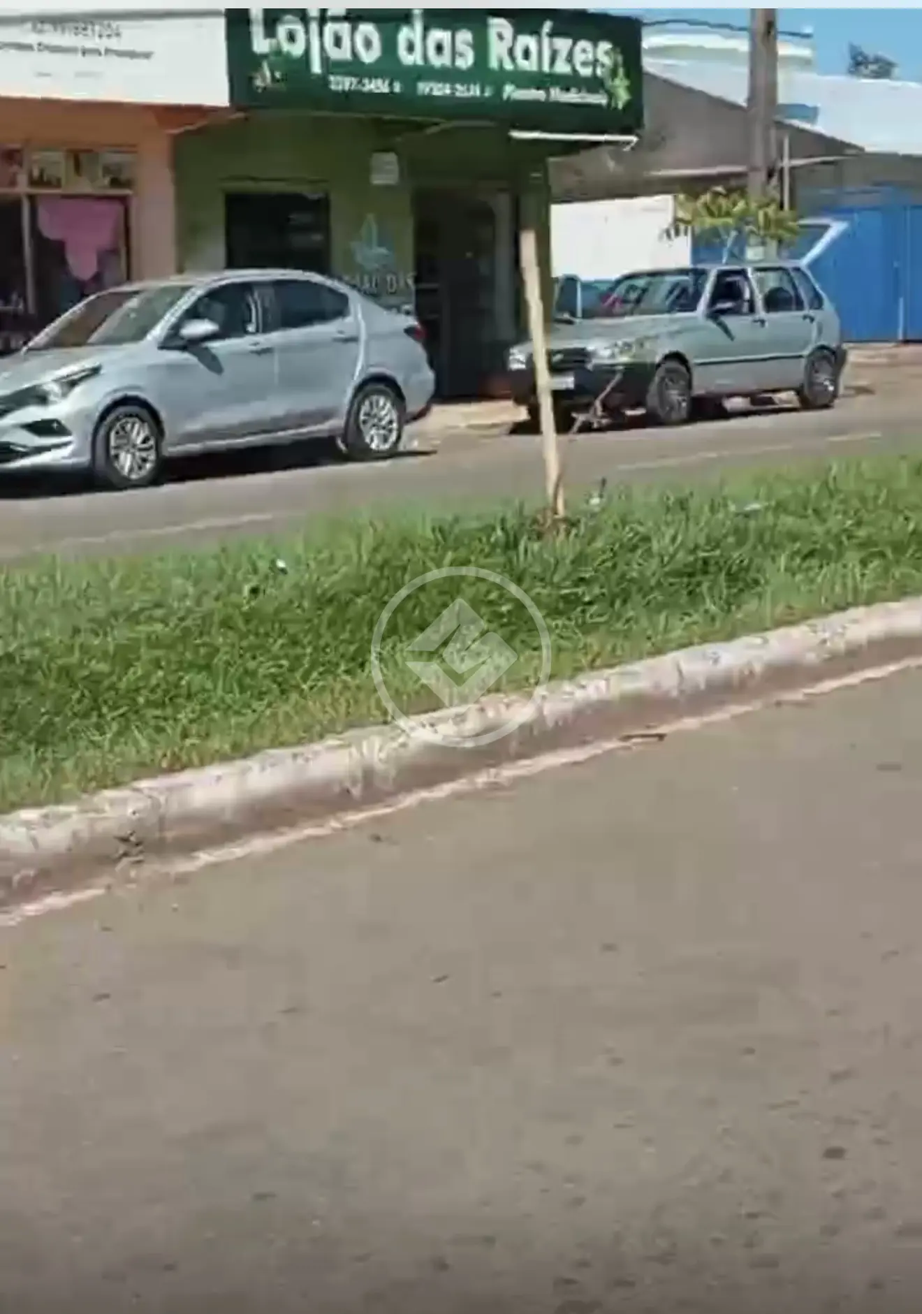 Terreno Vila Mutirão I, Goiânia - GO — foto 2