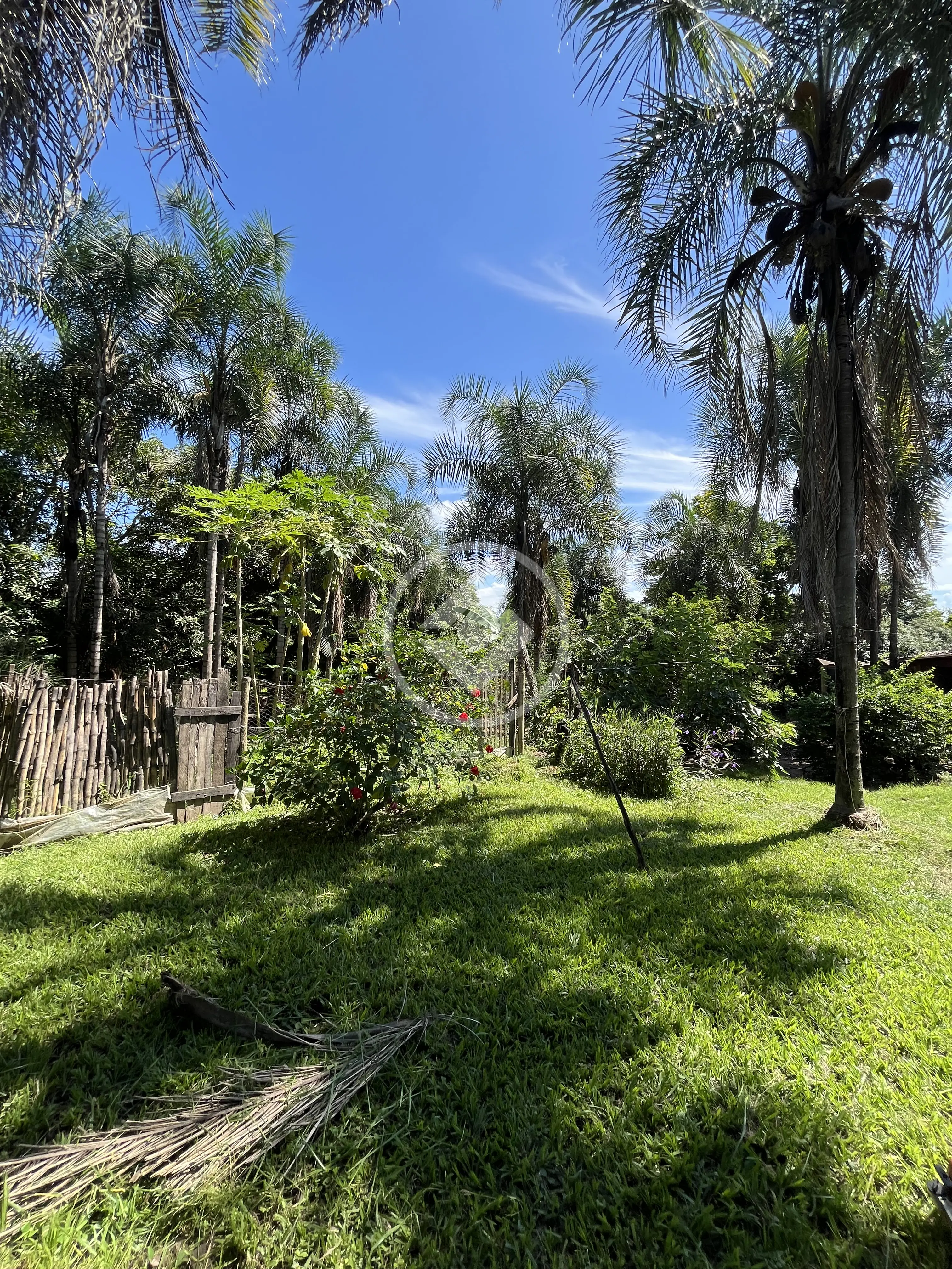Imagem 3 - Chácara em rural zona rural, Petrolina de Goiás - GO