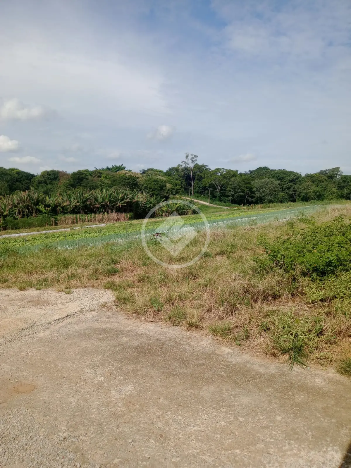 Terreno Parque Hayala, Aparecida de Goiânia - GO — foto 1