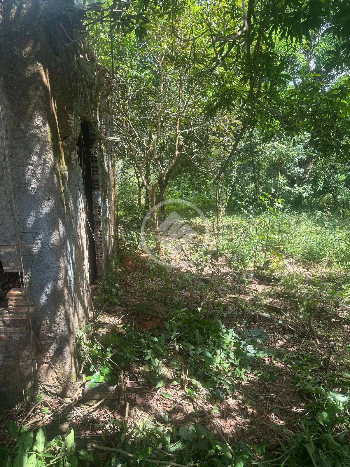 Terreno Jardim Miramar, Aparecida de Goiânia - GO — foto 2
