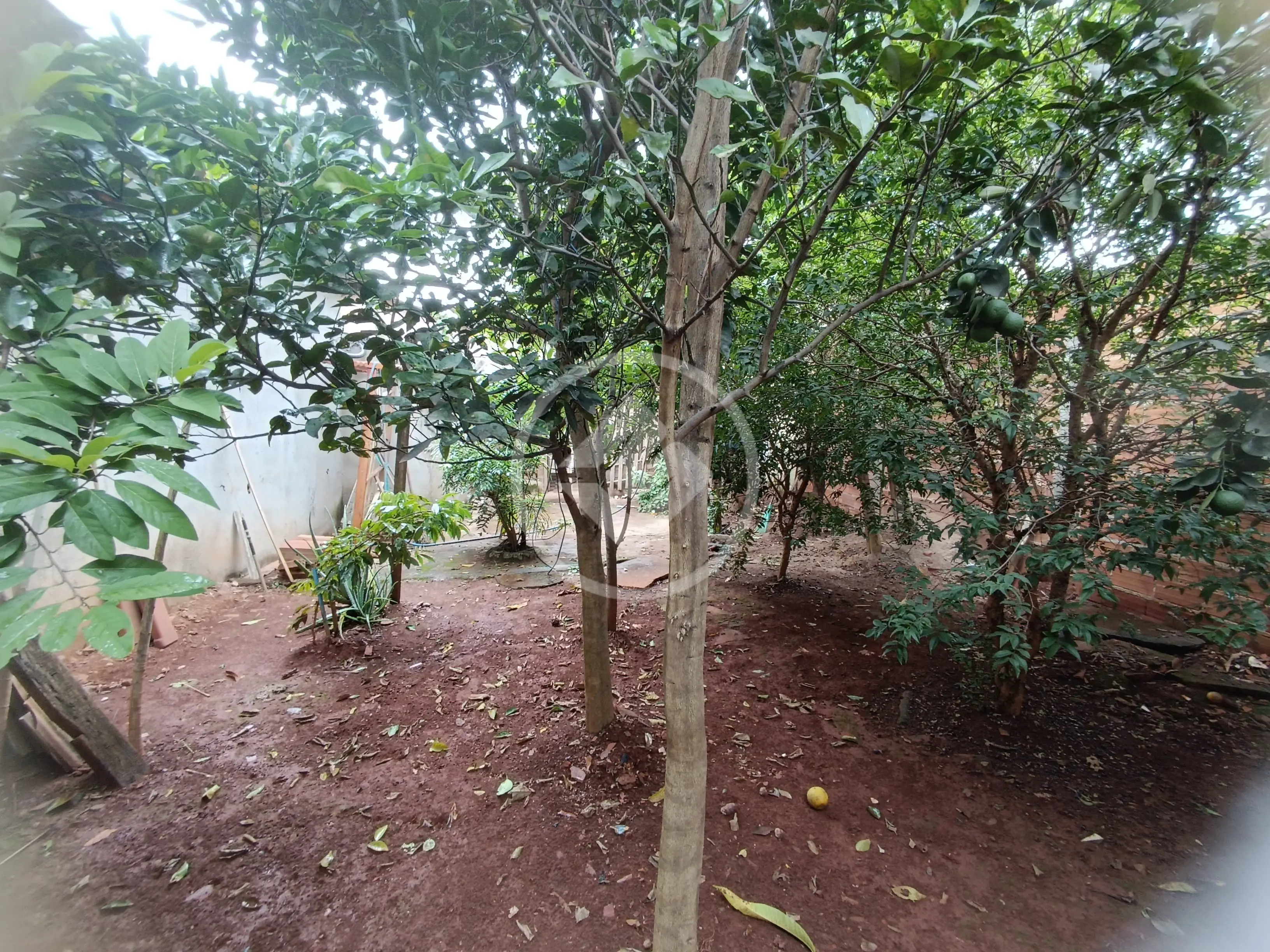 Imagem 4 - Casa em Parque Ibirapuera, Aparecida de Goiânia - GO