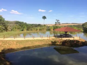 Imagem 2 - Chácara em Vila Sul, Anápolis - GO