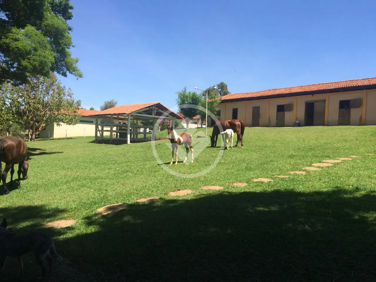 Image 2 - Chácara em Vila Sul, Anápolis - GO