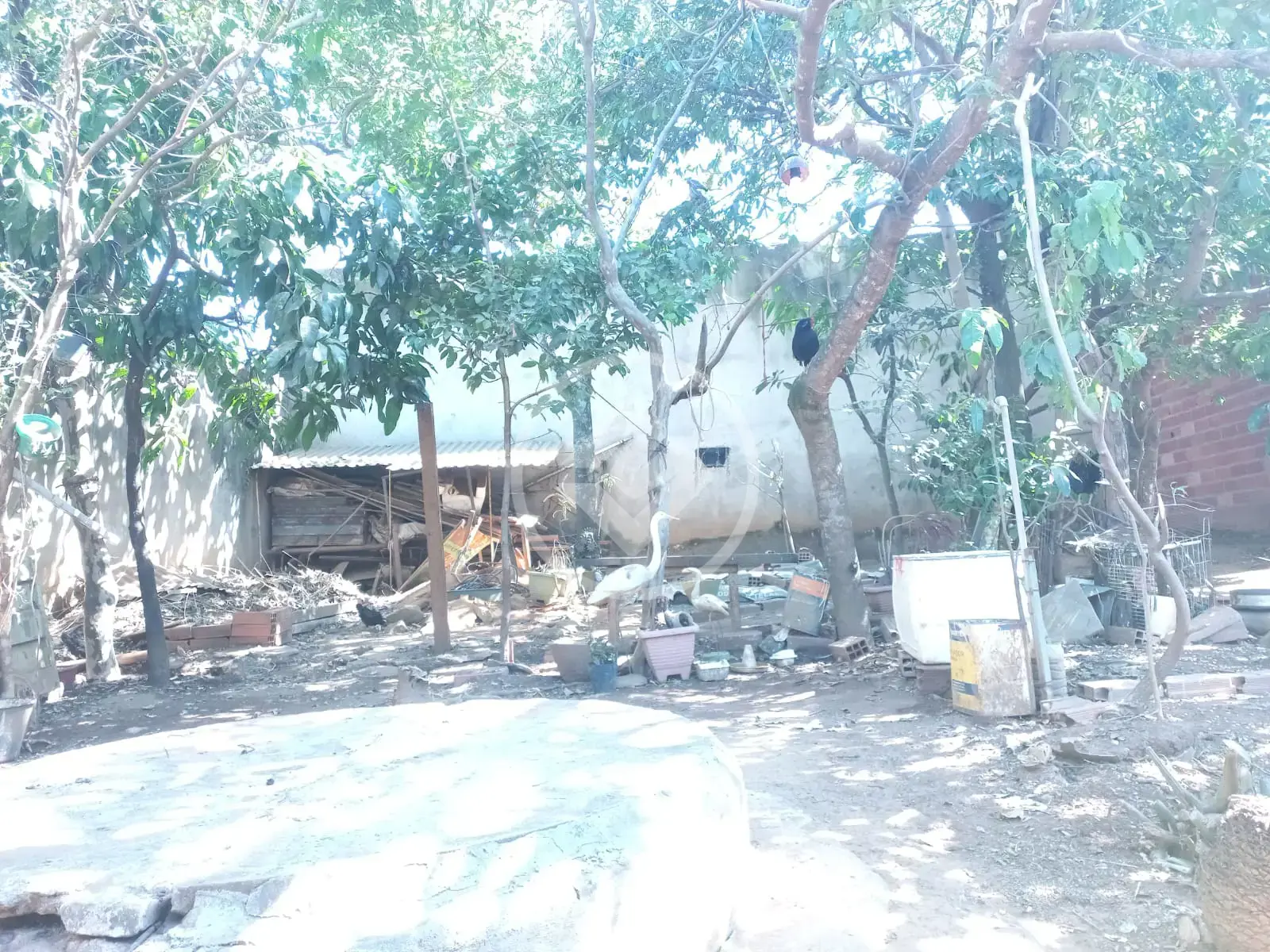 Image 8 - Terreno em Bairro Ilda, Aparecida de Goiânia - GO