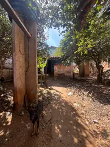 Terreno Setor Central, Aparecida de Goiânia - GO — foto 1