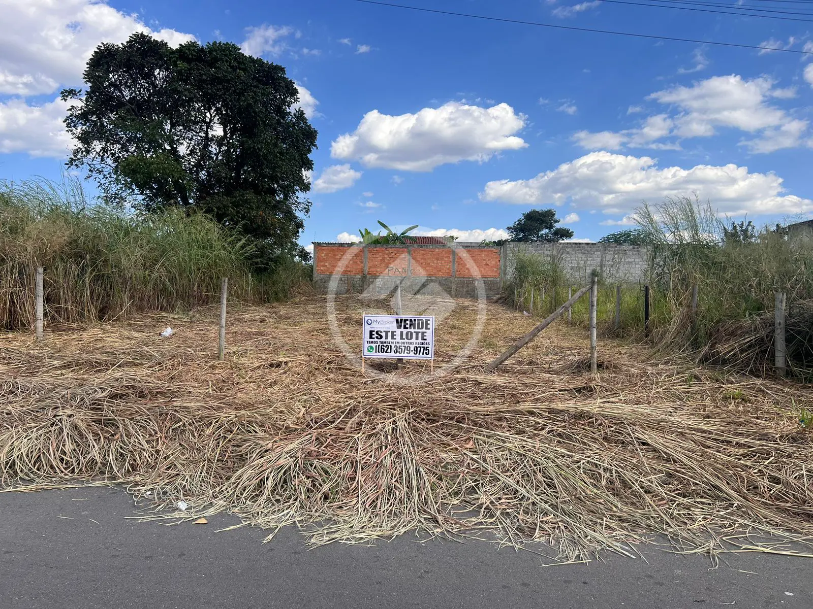 Terreno Vila Oliveira, Aparecida de Goiânia - GO — foto 1
