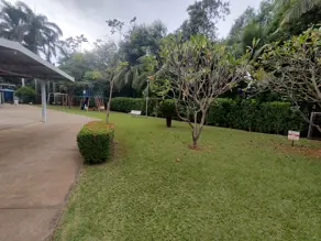 Imagem 3 - Apartamento em Vila Santo Antônio, Araçatuba - SP