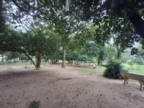 Imagem 5 - Terreno Condomínio em Concórdia IV, Araçatuba - SP