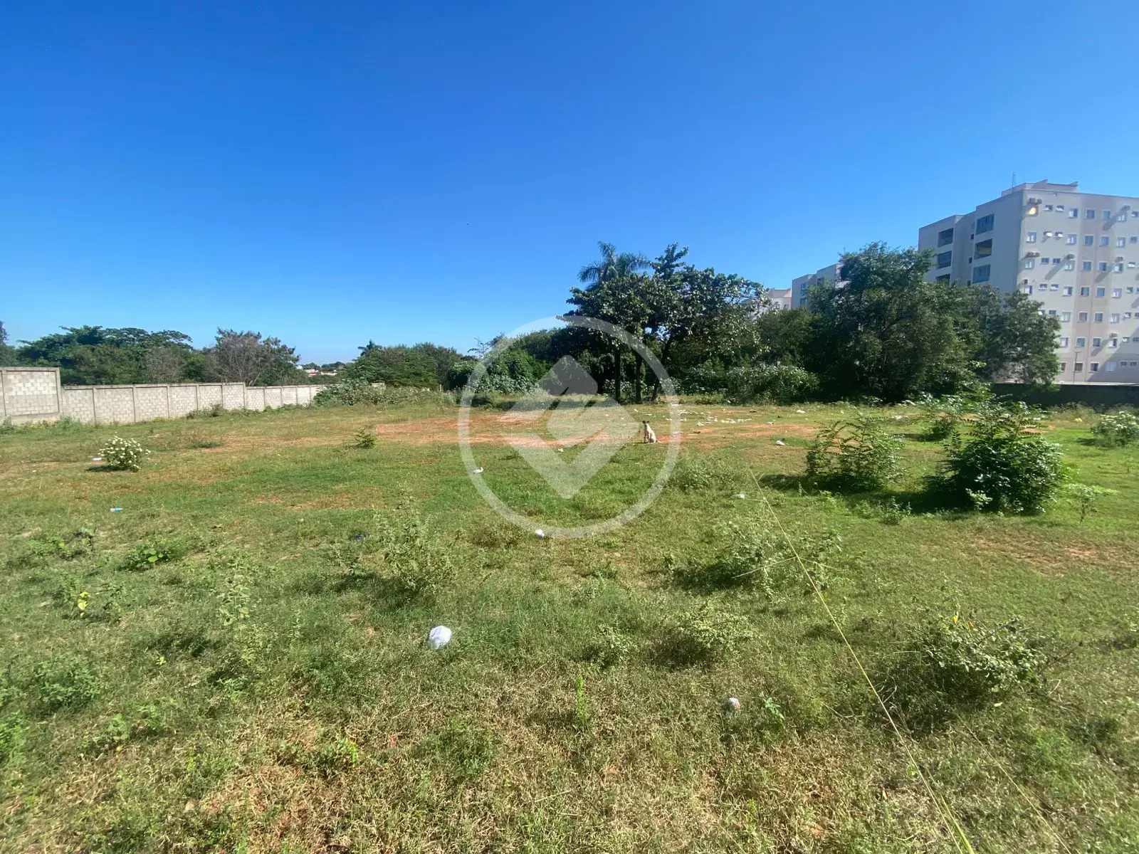 Imagem 4 - Terreno em Chácaras Patrimônio Santana, Araçatuba - SP