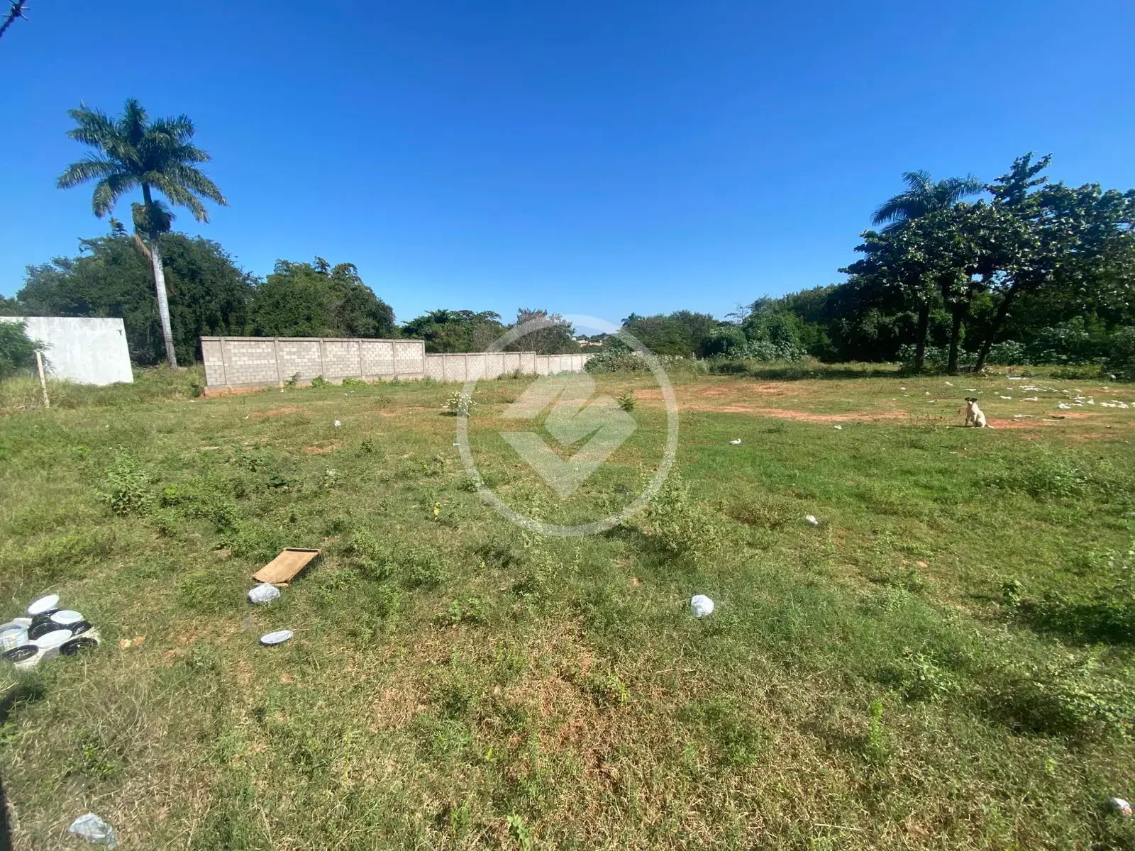 Imagem 6 - Terreno em Chácaras Patrimônio Santana, Araçatuba - SP