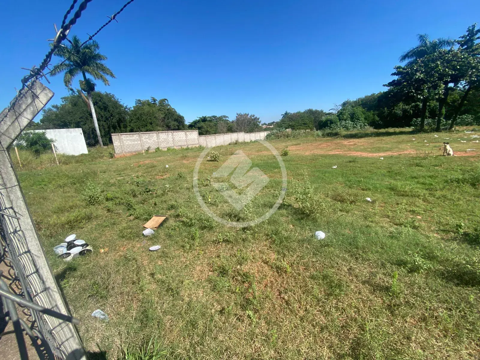 Imagem 3 - Terreno em Chácaras Patrimônio Santana, Araçatuba - SP