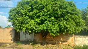 Terreno Umuarama, Araçatuba - SP — foto 1