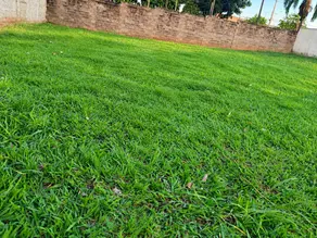 Terreno Condomínio Pinheiros, Araçatuba - SP — foto 1