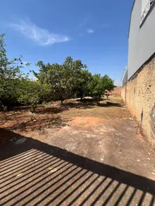 Terreno Jardim Nova York, Araçatuba - SP — foto 2